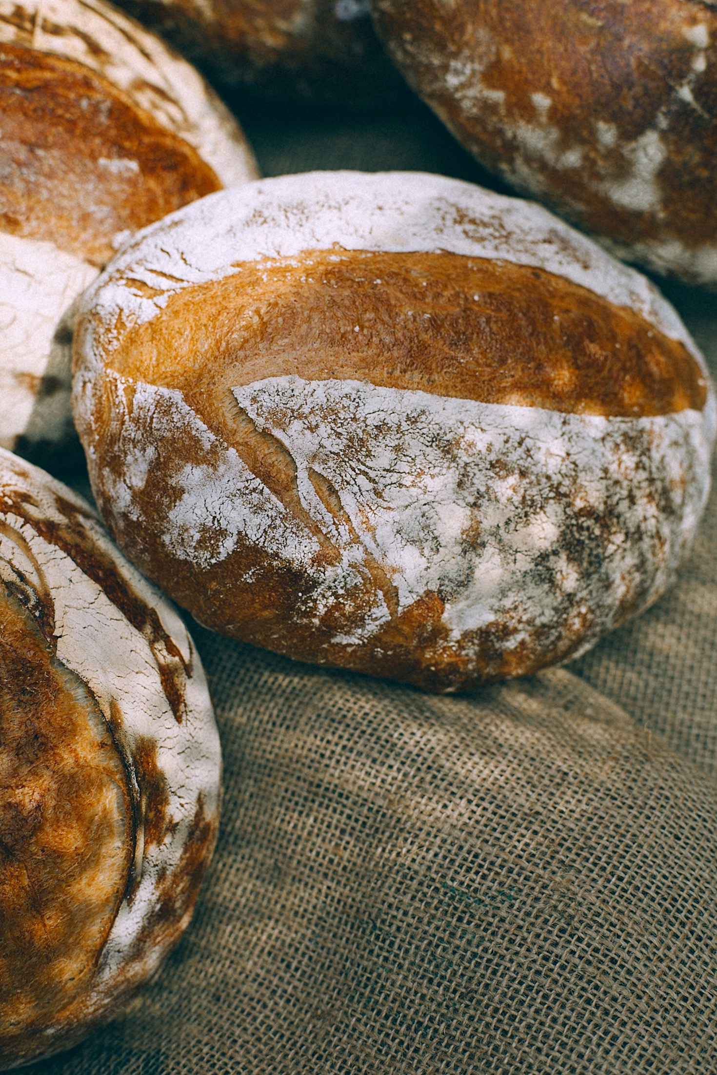 10 leckere Rezepte, die du ausprobieren musst